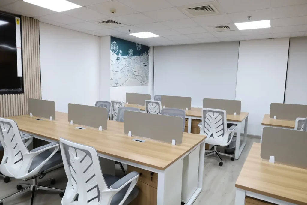 H&H Real Estate - The Zoom Interior-7